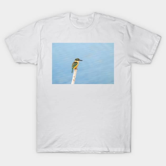 Beautiful sacred kingfisher portrait T-Shirt by brians101